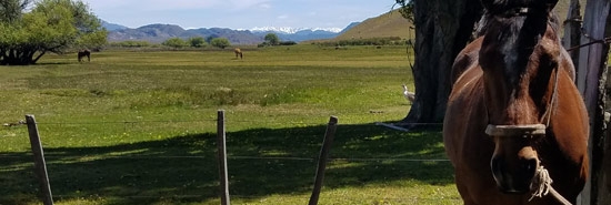 Los Ñires - Lotes en Río Pico