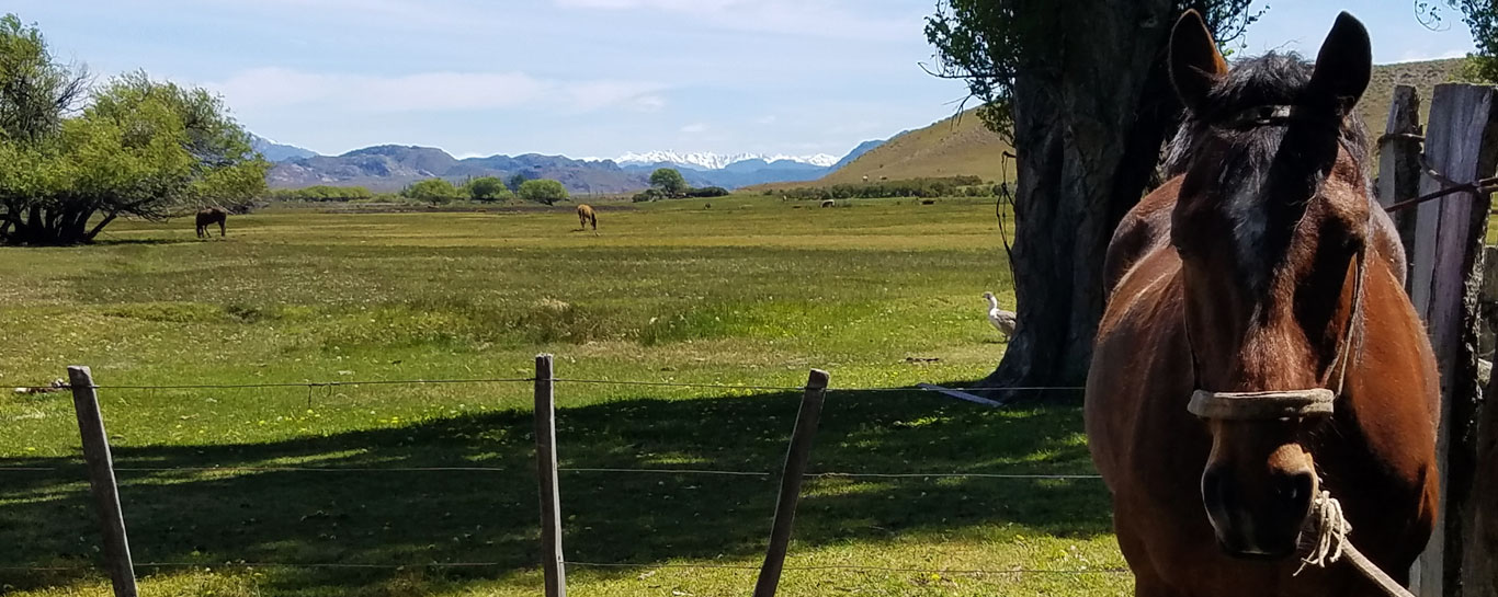 Los Ñires - Lotes en Río Pico
